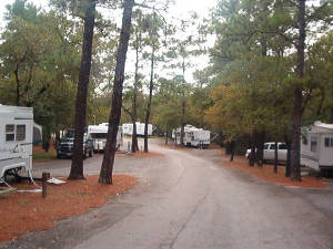 campsitesbastrop.jpg