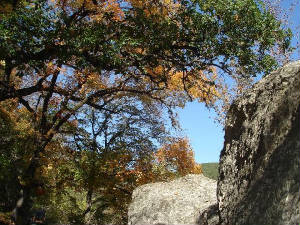 garner2006012r.jpg