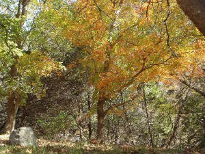 garner2006029r.jpg