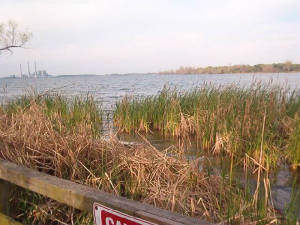 im000844-2.jpg