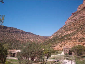 lincolnforest2.jpg