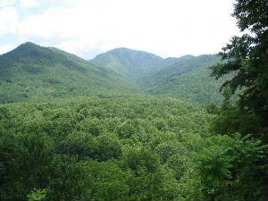 vacation2006013r.jpg