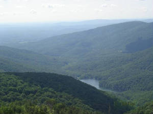 vacation2006039r.jpg
