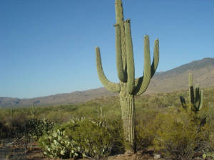vacation2007096.jpg