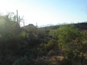 vacation2007099.jpg