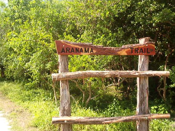aranamatrail.jpg
