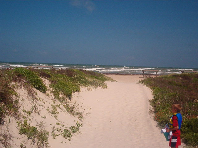 beachoverdunes.jpg