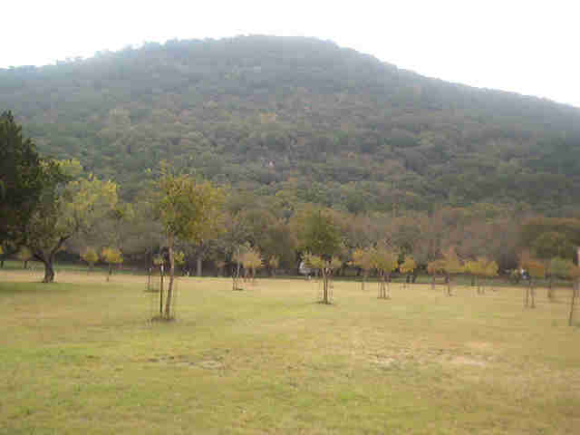 garnercampsiteshill.jpg
