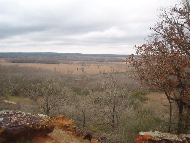 scenicviewpalmetto2.jpg